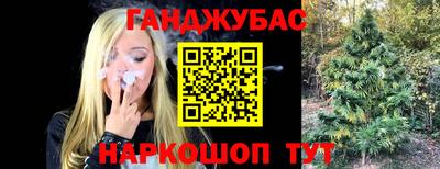 PSILOCYBIN Малоярославец