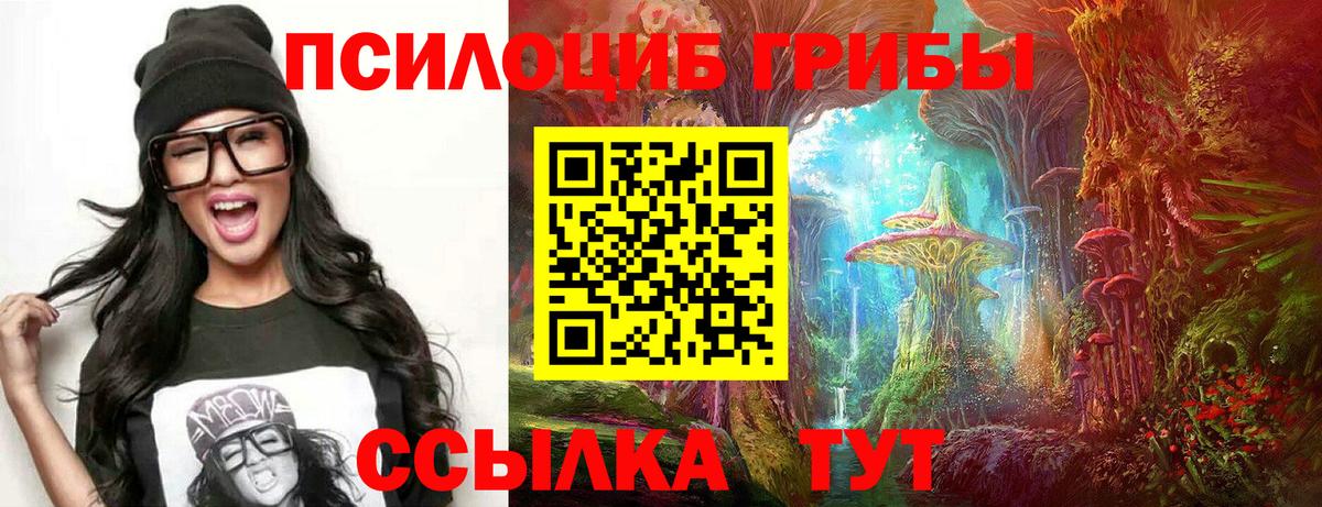 Галлюциногенные грибы мухоморы Славгород